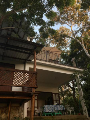 Casa Jabín surrounded by nature